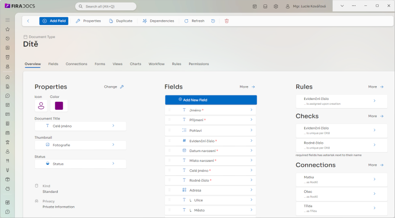 Fira docs screenshot of definition of custom document type